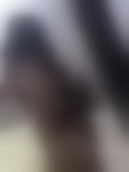 Live sex webcam photo for KendalHolson #3219601
