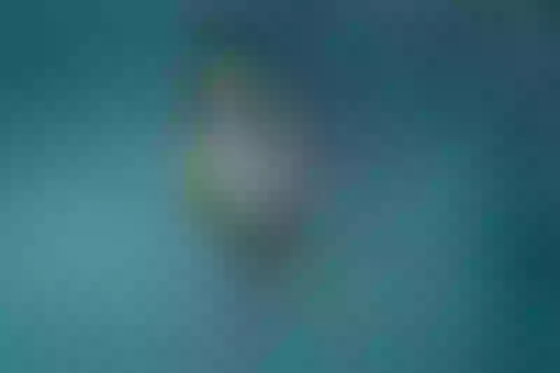 Live sex webcam photo for harleyjhones #3266936