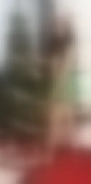 Live sex webcam photo for anyangelpetite #3800104