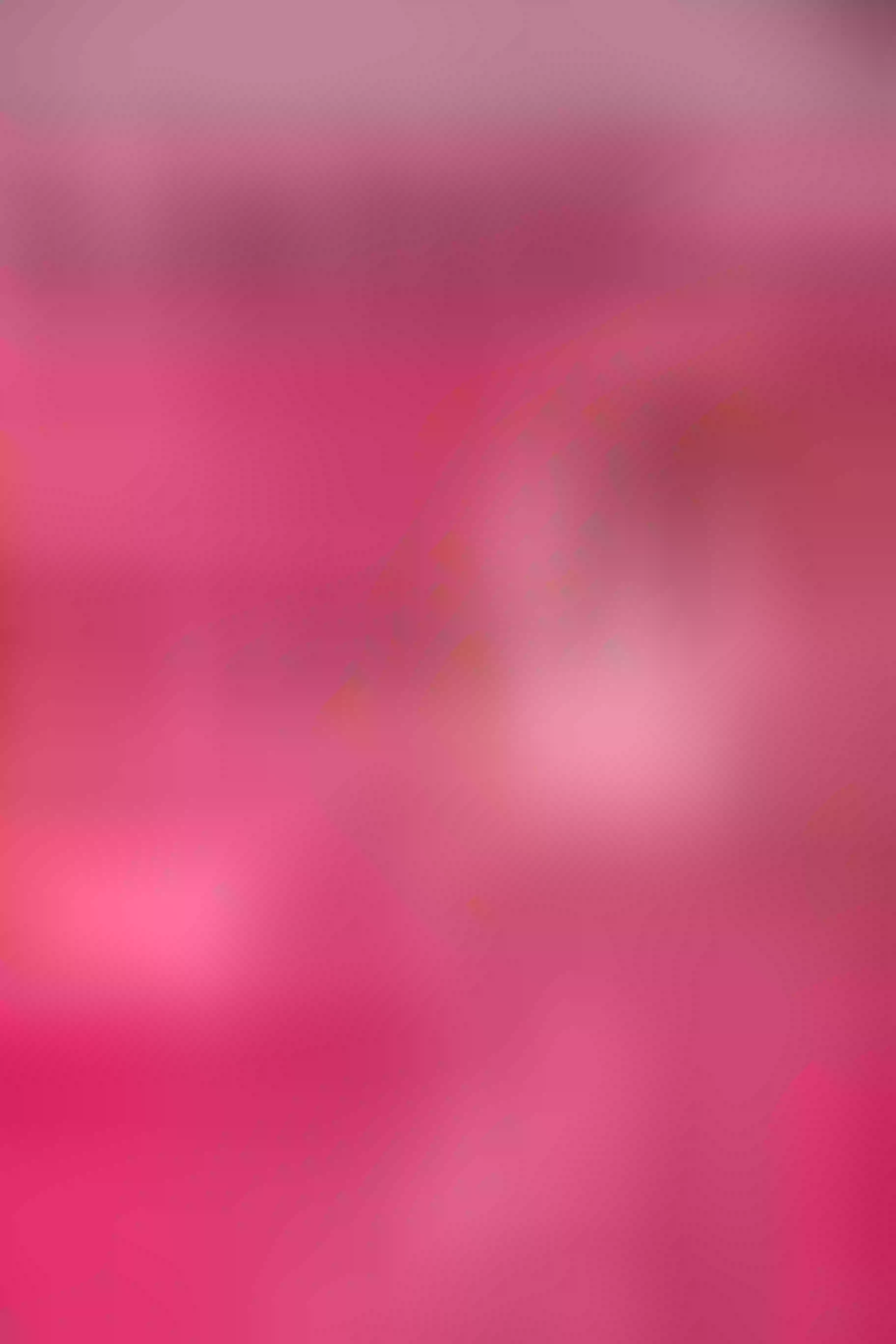 Live sex webcam photo for ALLYSONPARKERR #6054580