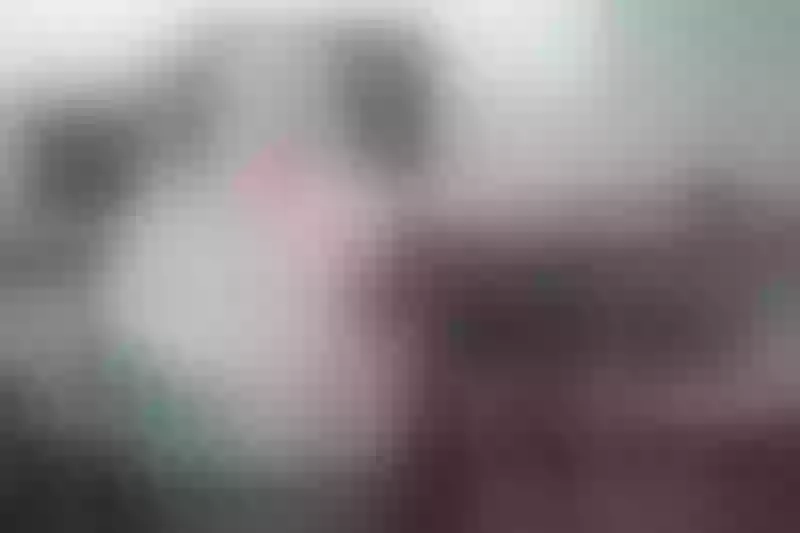 Live sex webcam photo for BelleWang #3491700