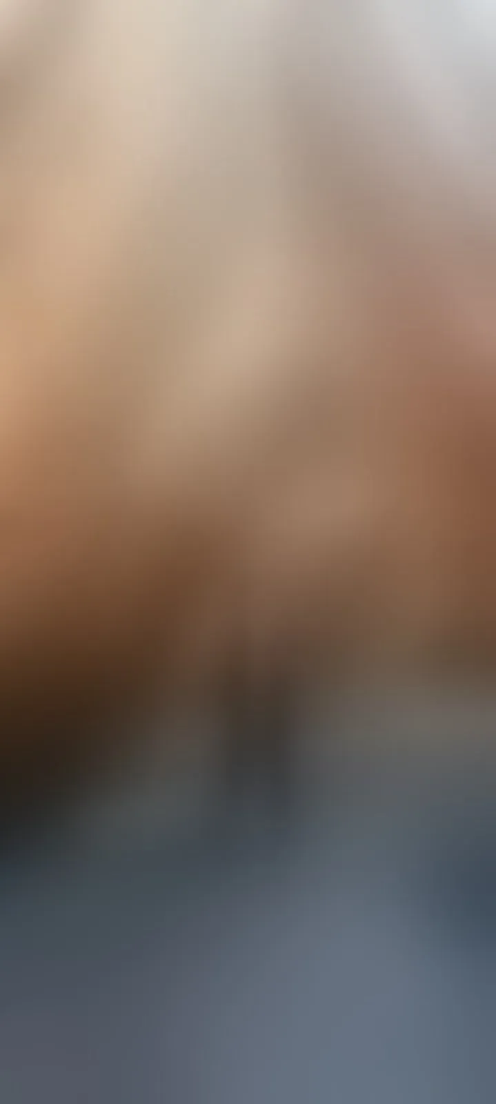 Live sex webcam photo for Angela18honey #8542535