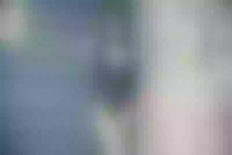 Live sex webcam photo for SharonCoock #3236292