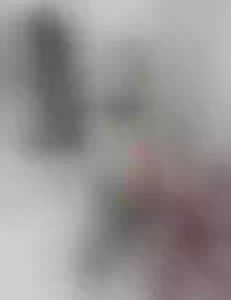 Live sex webcam photo for AbbyRouse #3384801