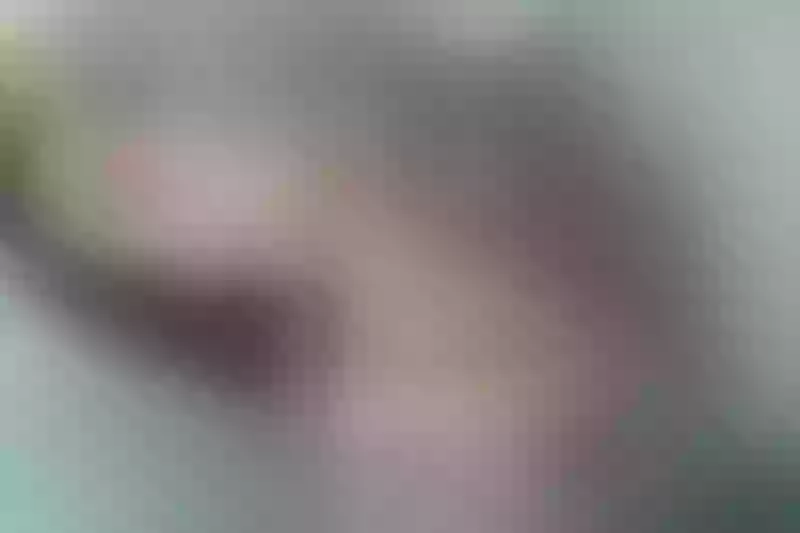 Live sex webcam photo for Kuromii #6123048