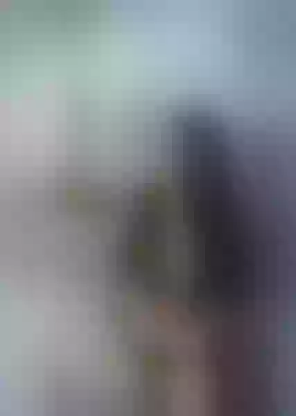 Live sex webcam photo for LauriieWilliams #3241183
