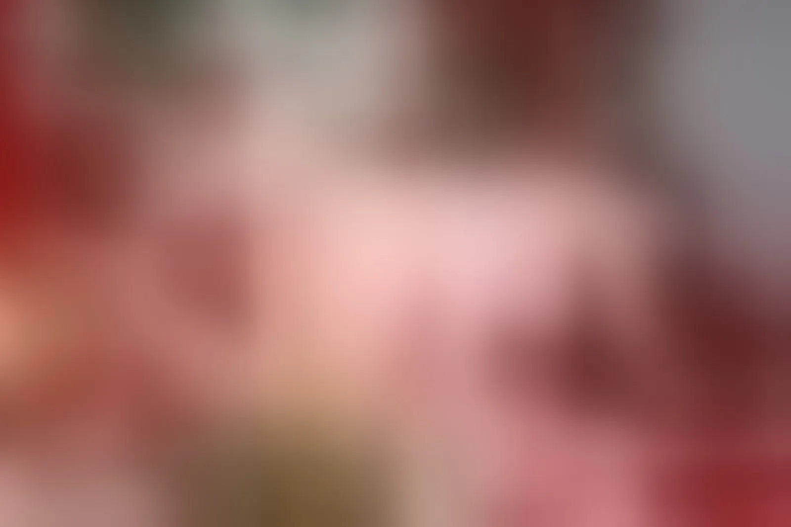 Live sex webcam photo for CharlootteEvans #8307029