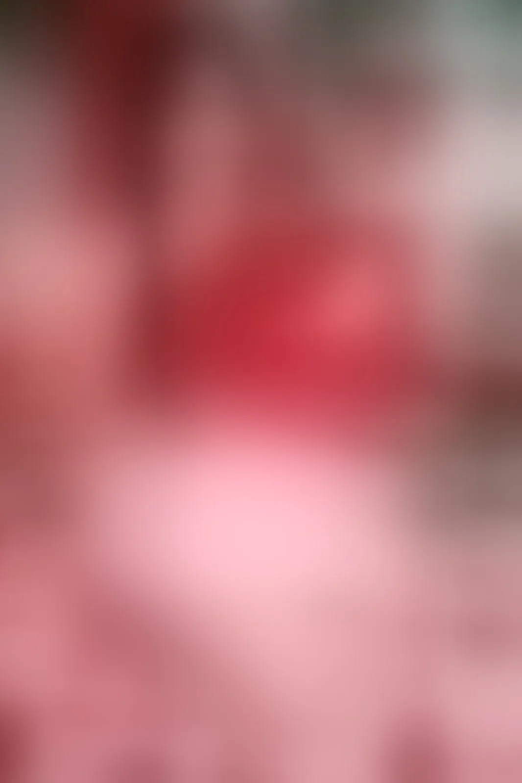 Live sex webcam photo for CharlootteEvans #8307028