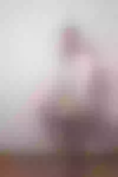Live sex webcam photo for StefaniaaReed #3238343