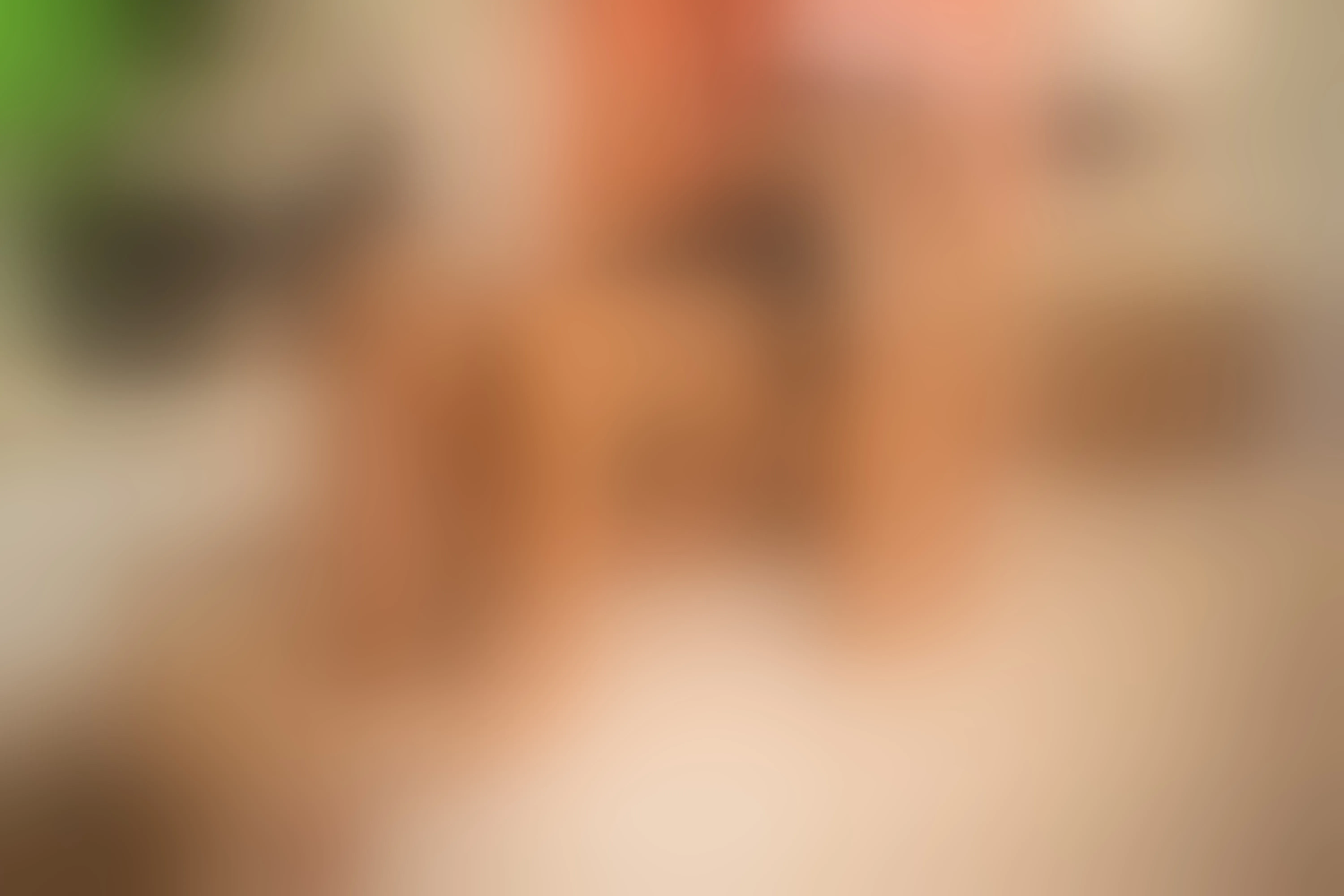 Live sex webcam photo for MalaikaBrown #8416309
