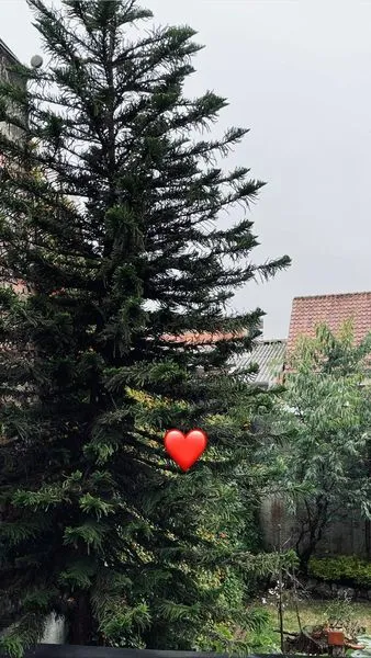 Live sex webcam photo for Renatalein #3548011