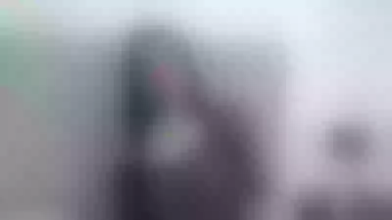 Live sex webcam photo for LISALAURENT #3319265