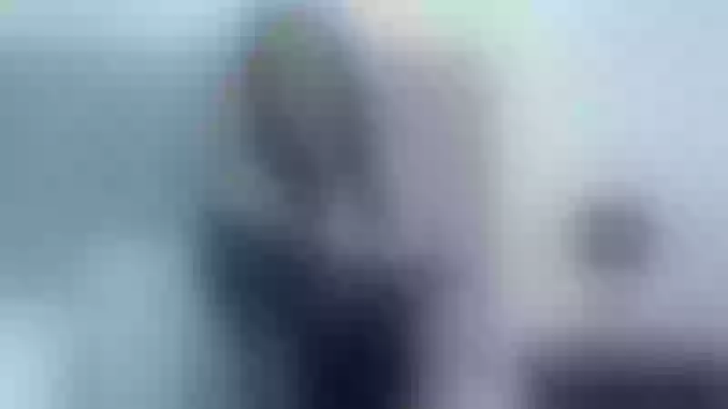 Live sex webcam photo for LISALAURENT #3300953