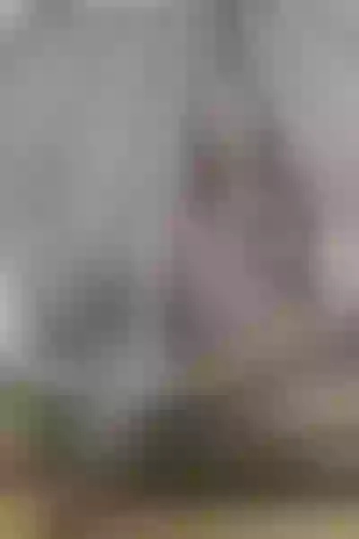 Live sex webcam photo for AndreaBecca #3497345