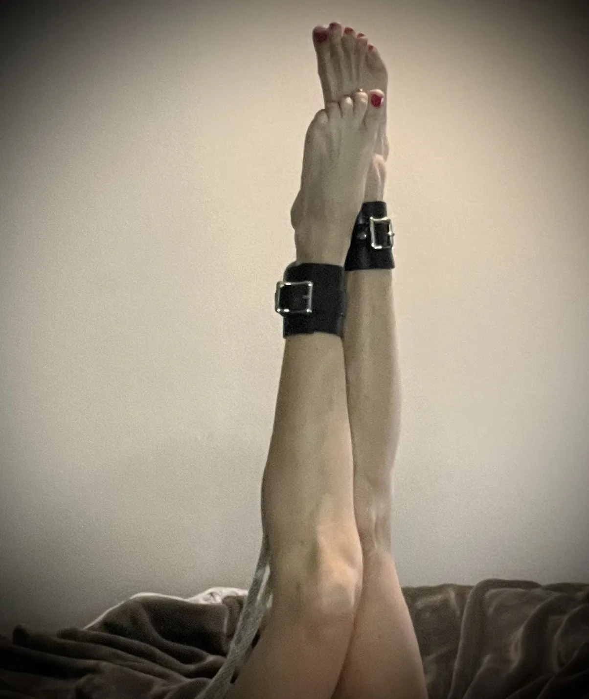 Live sex webcam photo for BridgetHolland #7819937