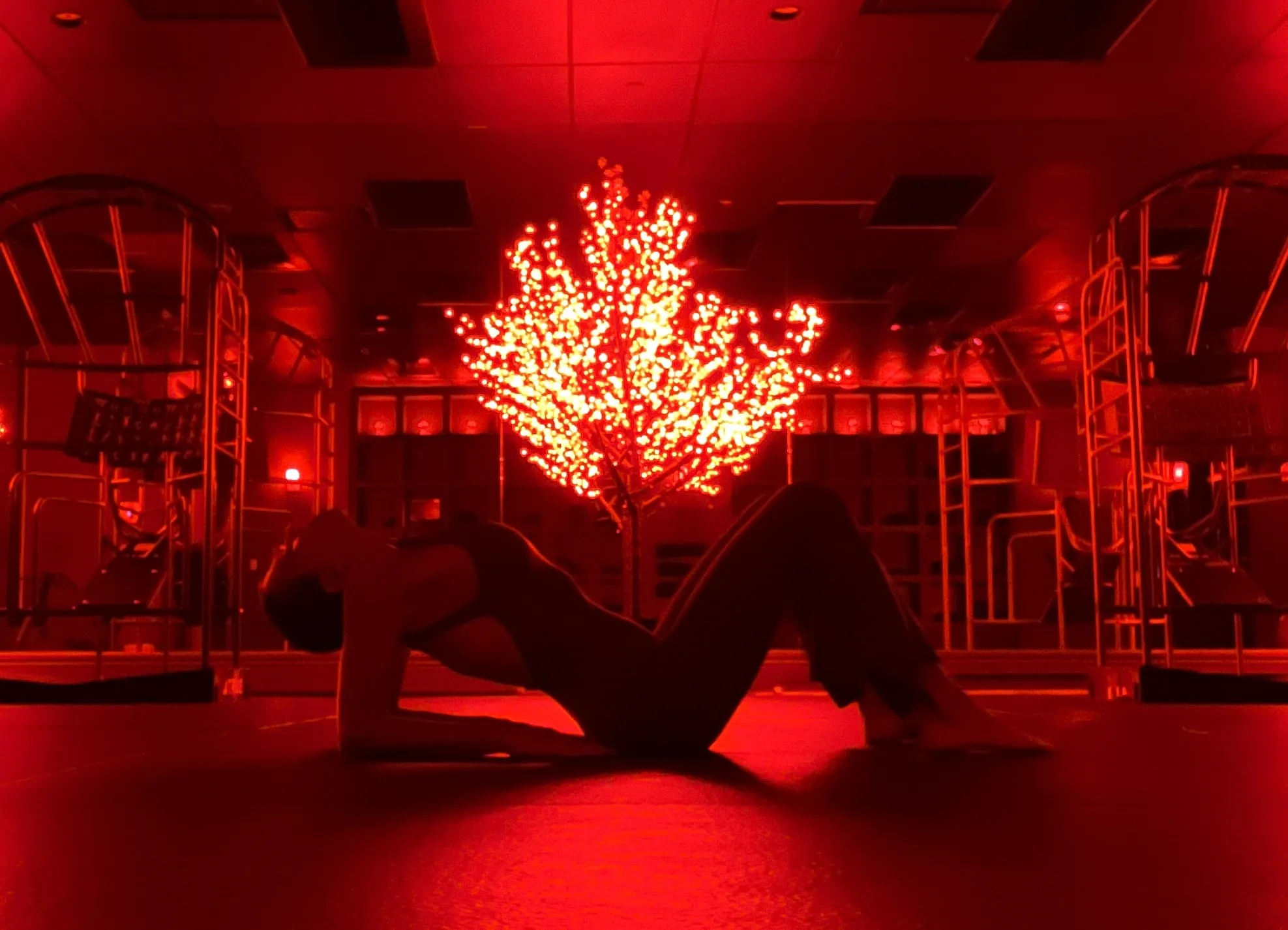 Live sex webcam photo for BridgetHolland #7819981