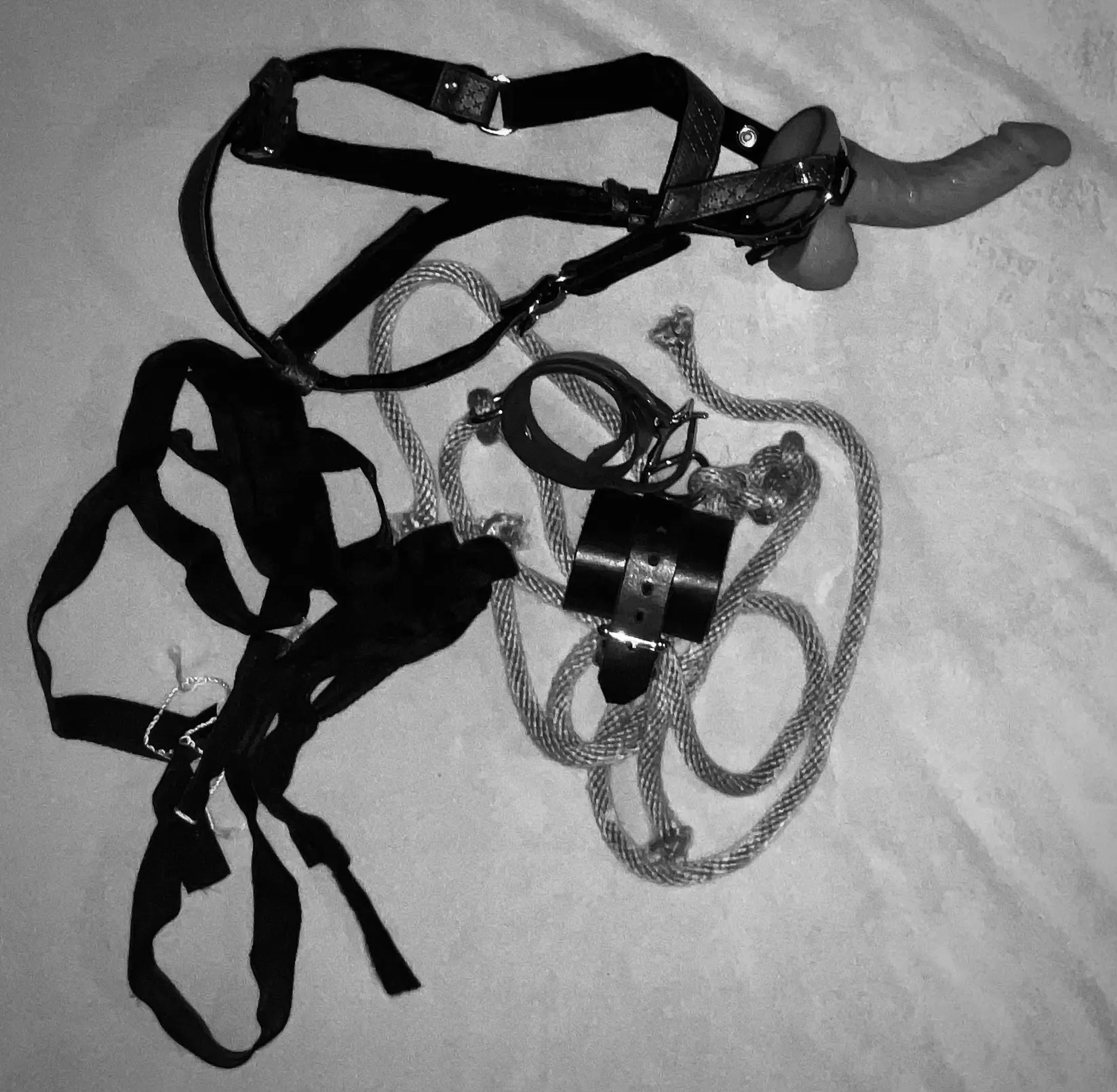 Live sex webcam photo for BridgetHolland #7819913