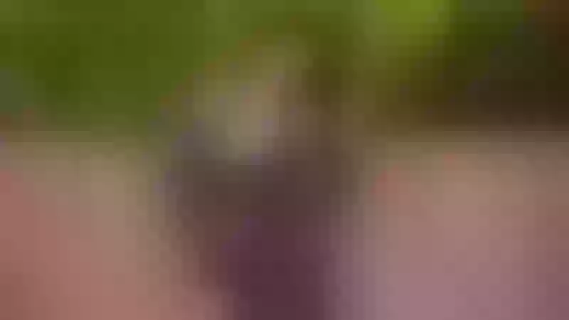Live sex webcam photo for IngrydCox #3489448