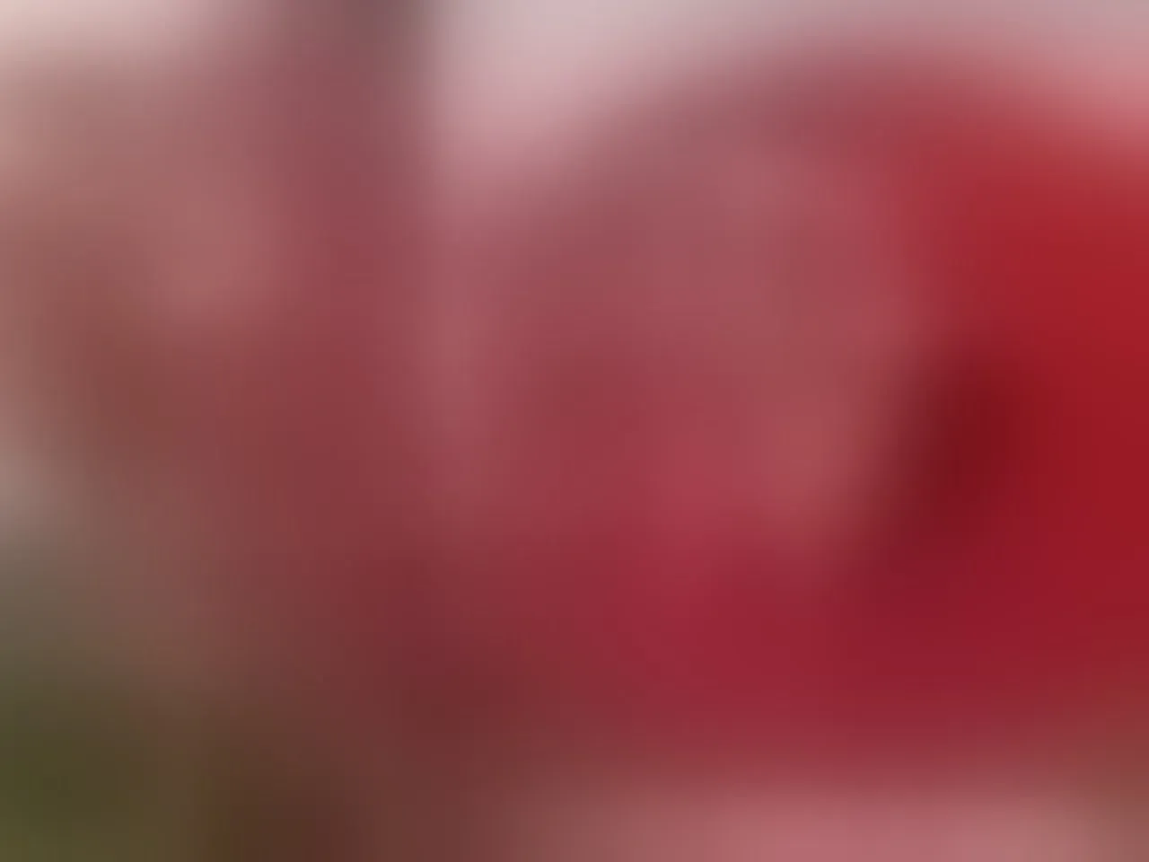 Live sex webcam photo for BriannaChelsea #7844265