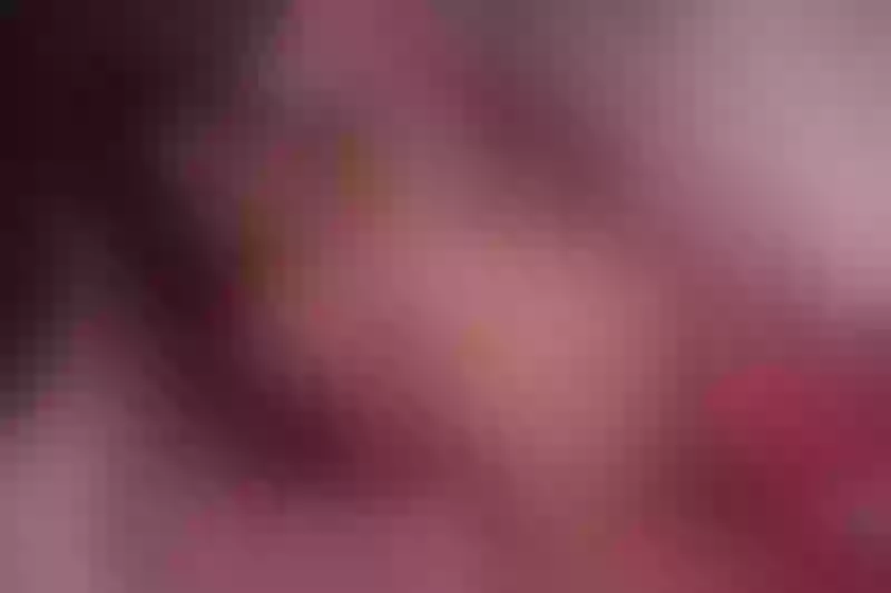Live sex webcam photo for EmmaWesth #3315159