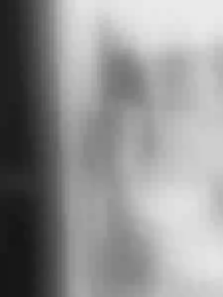Live sex webcam photo for StefannyKaney #3798742