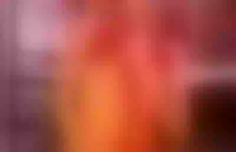 Live sex webcam photo for TammyBrox #4058391