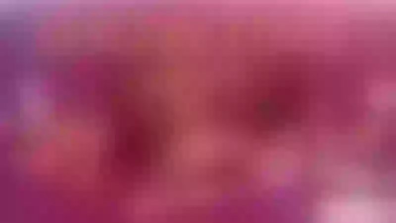 Live sex webcam photo for TammyBrox #4058393
