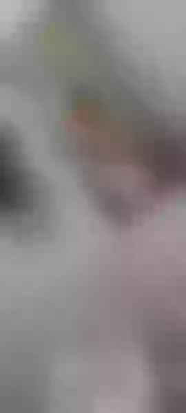Live sex webcam photo for lolanolimitss #3566012