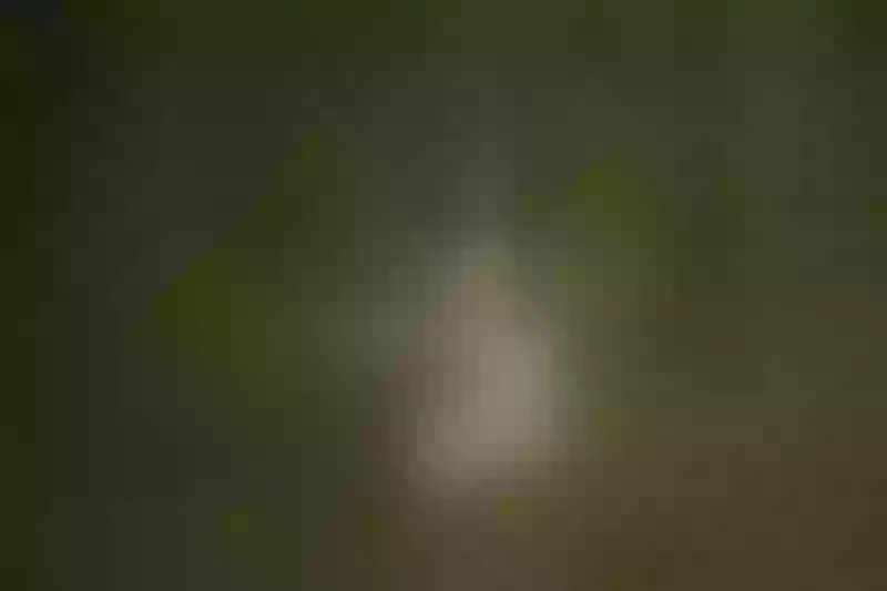 Live sex webcam photo for SophieeClark #3275173