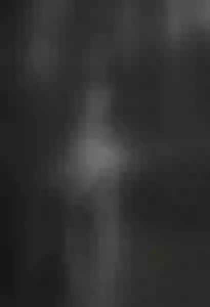 Live sex webcam photo for SophieeClark #3275171