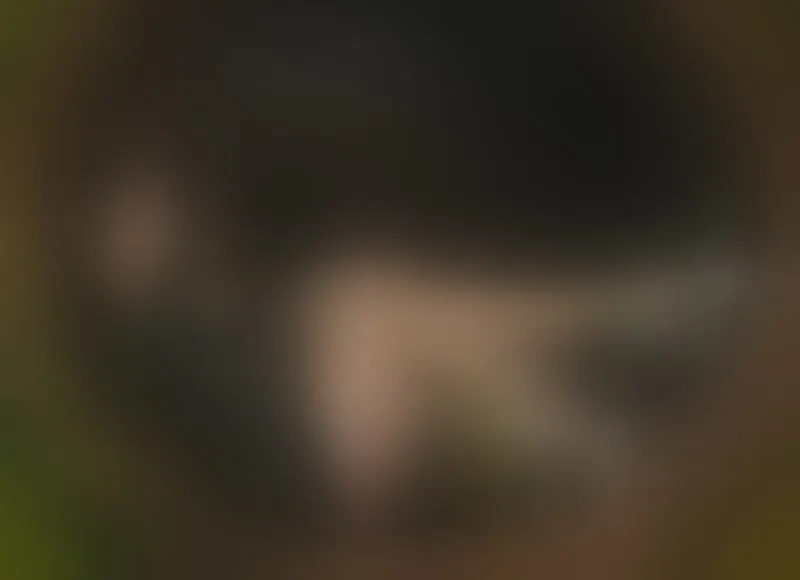 Live sex webcam photo for MerilynLennon #7798226