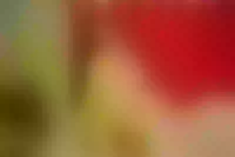 Live sex webcam photo for DaniaKing #3314463