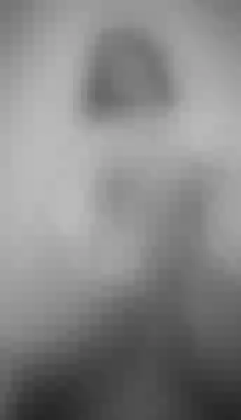 Live sex webcam photo for lindssaywilliams #3629844
