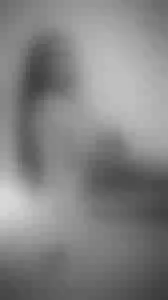 Live sex webcam photo for lindssaywilliams #3629845