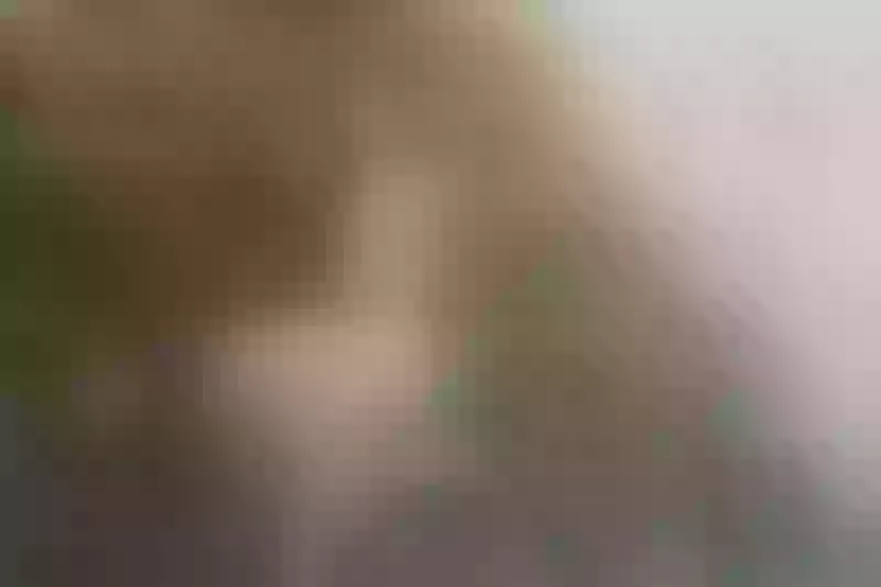 Live sex webcam photo for KimberlyCarteer #3305375