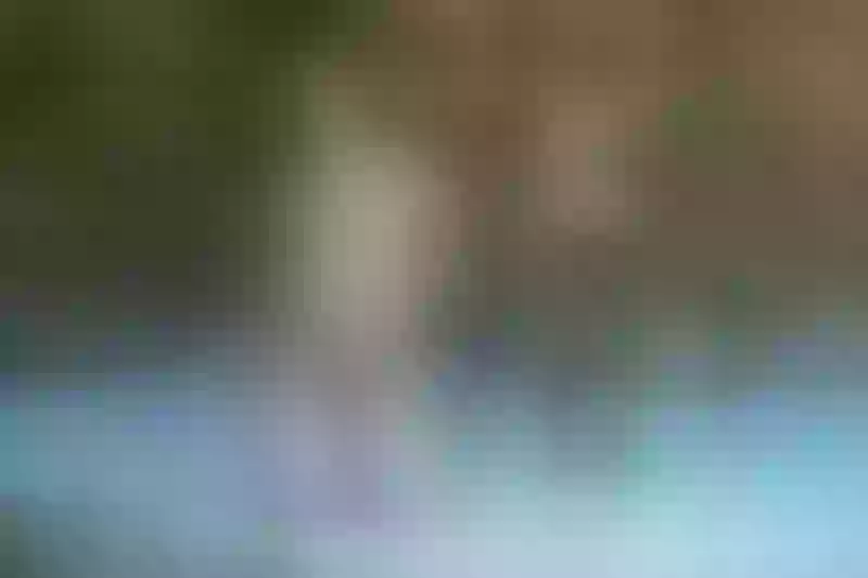 Live sex webcam photo for KimberlyCarteer #3269686