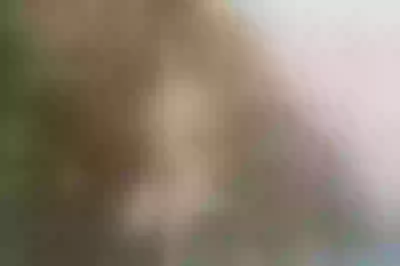 Live sex webcam photo for KimberlyCarteer #3305373