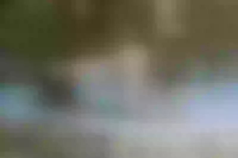 Live sex webcam photo for KimberlyCarteer #3305376