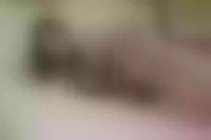 Live sex webcam photo for HAAZELxx #3405105
