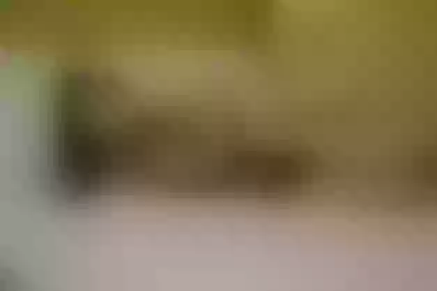 Live sex webcam photo for HAAZELxx #3441254