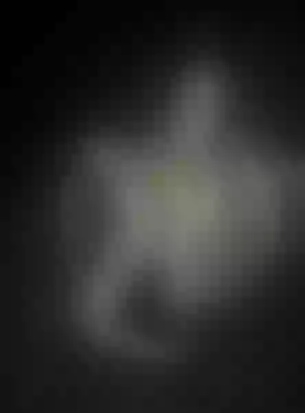 Live sex webcam photo for JuliaPink #3321052