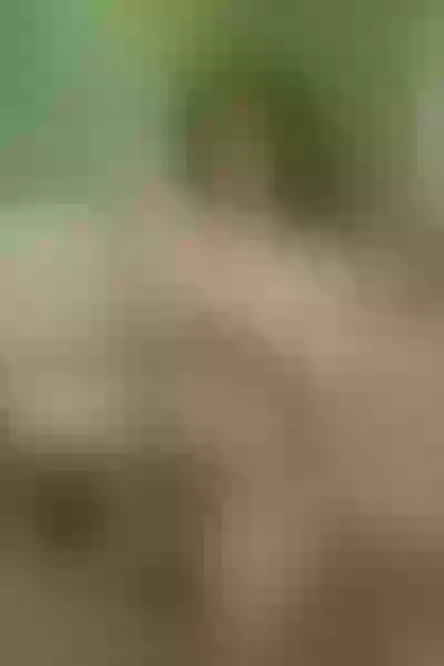 Live sex webcam photo for RoseSpicy #3294478