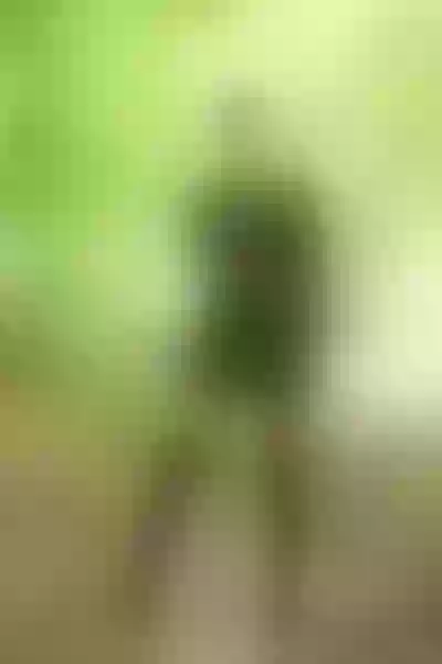 Live sex webcam photo for PamyMilles #3335095