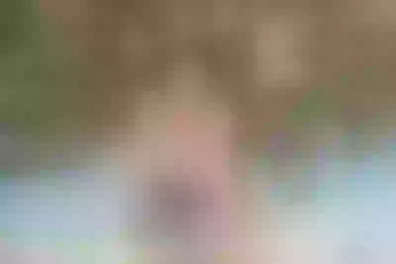 Live sex webcam photo for ShanyaSpring #3285535
