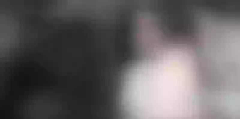 Live sex webcam photo for ValeryCano #3791842