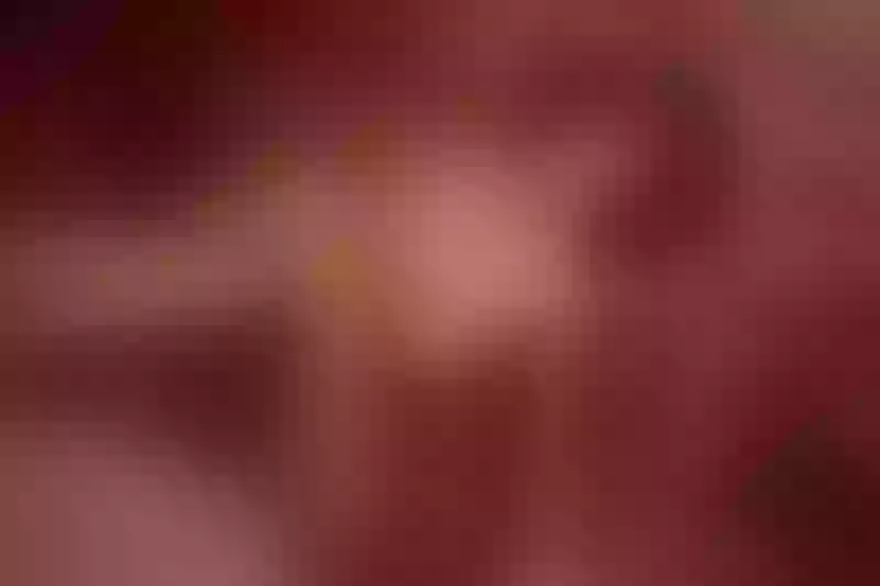 Live sex webcam photo for IvonaRymer #3337058