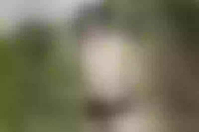 Live sex webcam photo for JennyTaylor #3408310