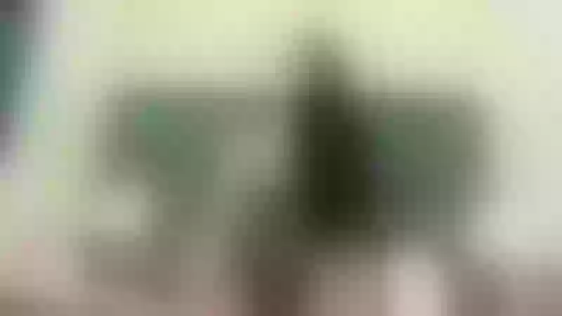 Live sex webcam photo for DAKOTTABENNET #4053479