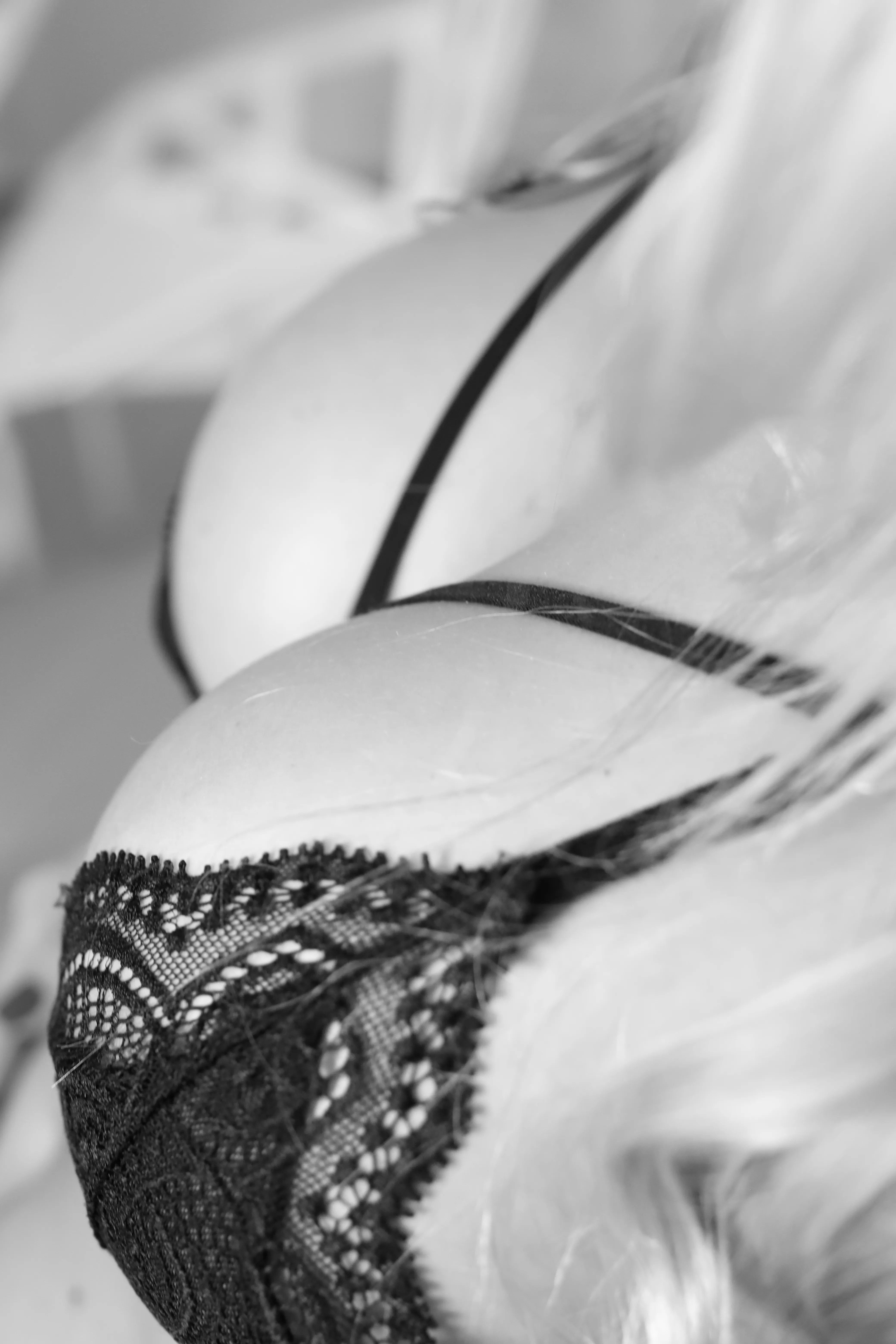 Live sex webcam photo for CallieMartin #7476873