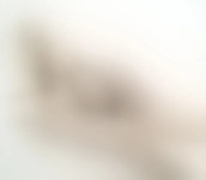Live sex webcam photo for ChloeTharzon #5289423